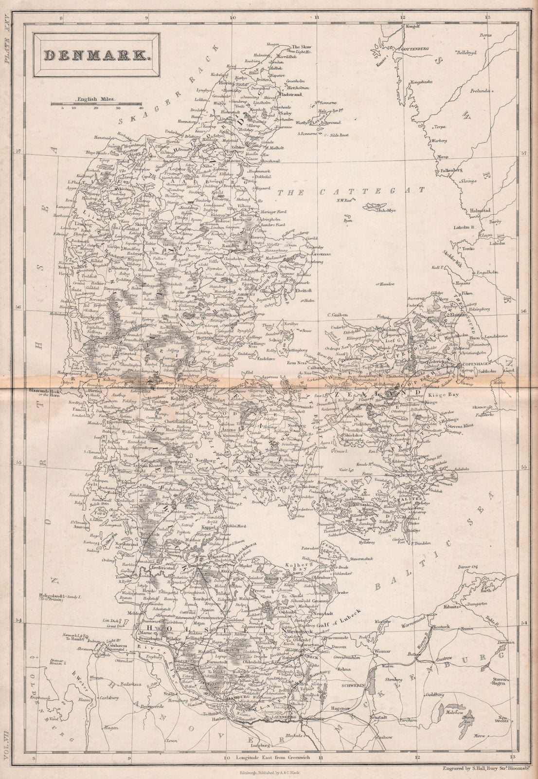 Denmark including Schleswig Holstein. BRITANNICA 1860 old antique map chart